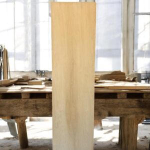 PUERTA DE PLACARD 30 MM